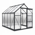 Invernadero de Aluminio y Policarbonato Transparente y Negro 190x185x195cm